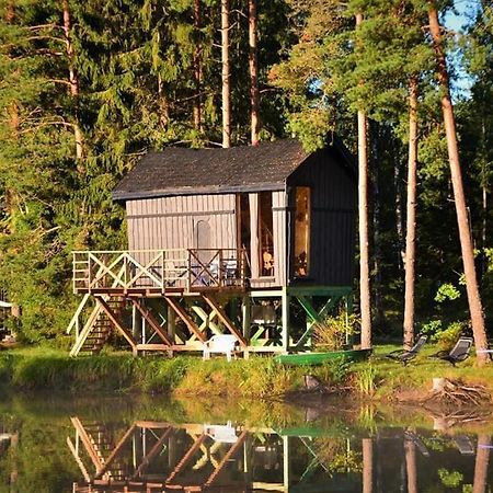 Dragon House In The Tree! Jacuzzi, Sauna ,Cinema,Heated Lici  Exteriör bild