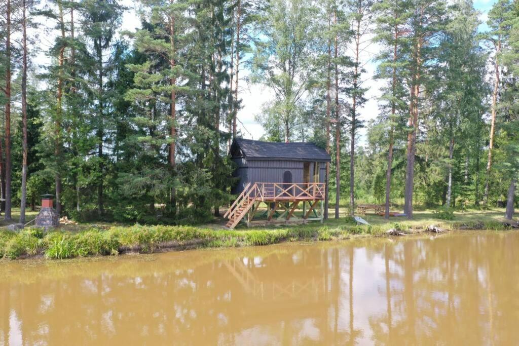 Dragon House In The Tree! Jacuzzi, Sauna ,Cinema,Heated Lici  Exteriör bild