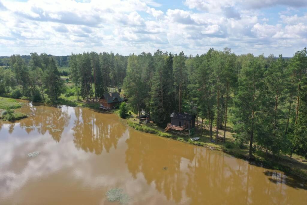 Dragon House In The Tree! Jacuzzi, Sauna ,Cinema,Heated Lici  Exteriör bild