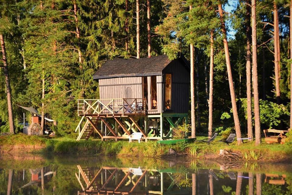 Dragon House In The Tree! Jacuzzi, Sauna ,Cinema,Heated Lici  Exteriör bild