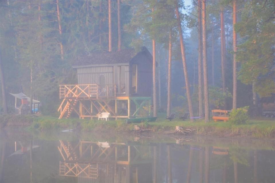 Dragon House In The Tree! Jacuzzi, Sauna ,Cinema,Heated Lici  Exteriör bild