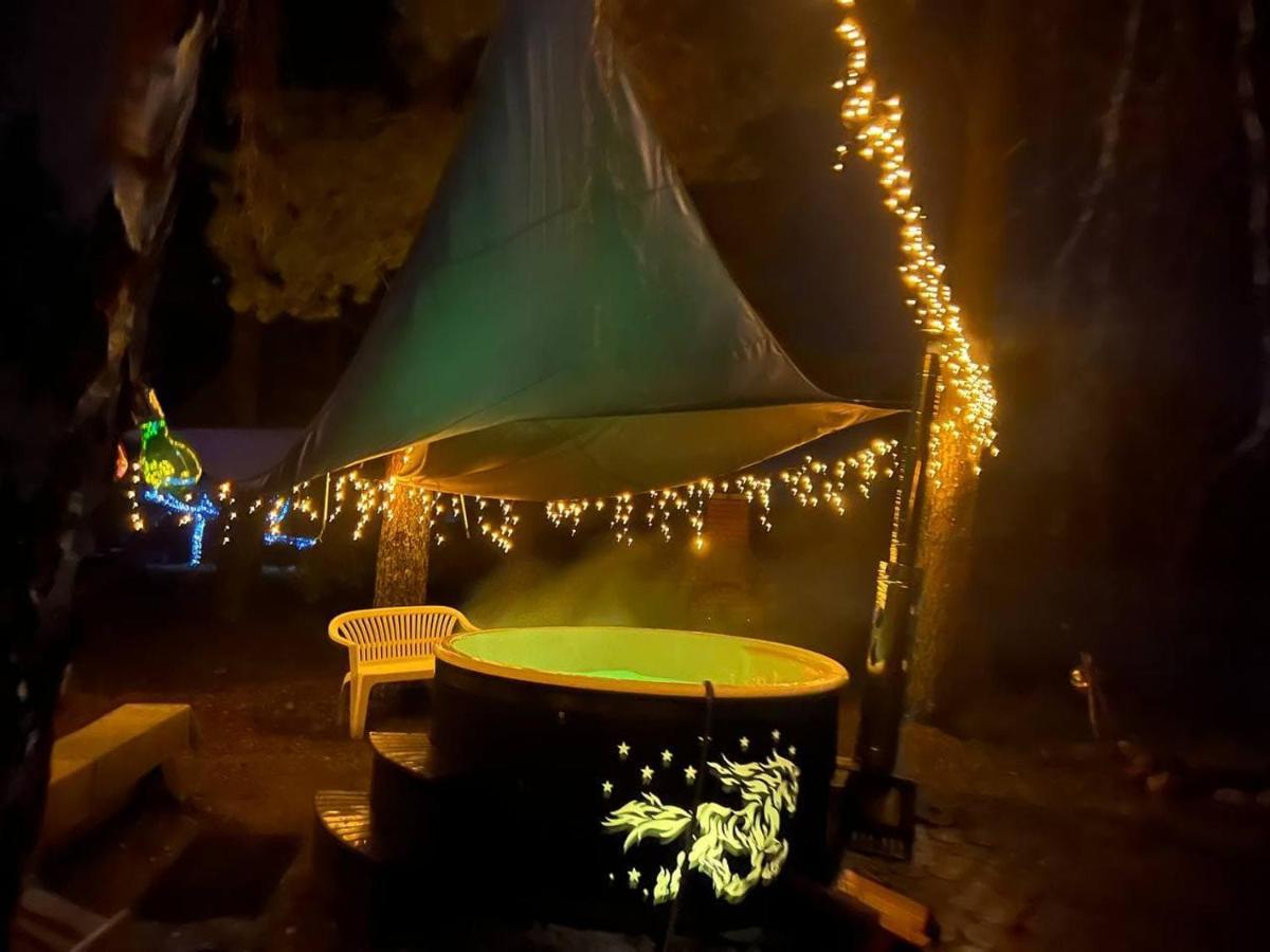Dragon House In The Tree! Jacuzzi, Sauna ,Cinema,Heated Lici  Exteriör bild