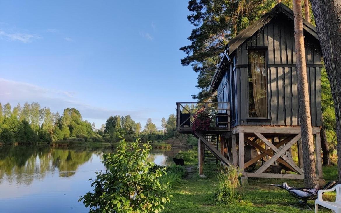 Dragon House In The Tree! Jacuzzi, Sauna ,Cinema,Heated Lici  Exteriör bild